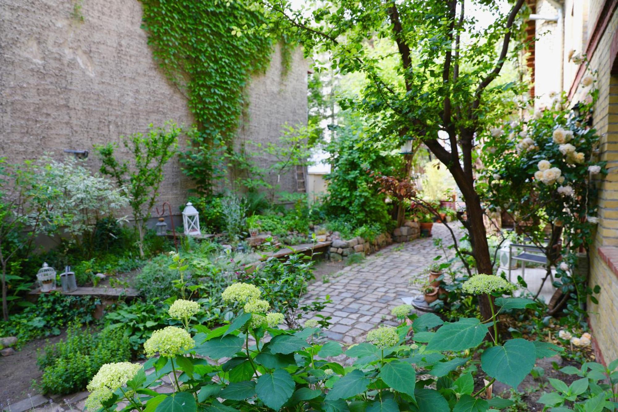 Room In Berlin City Center المظهر الخارجي الصورة